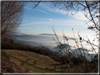 foto Colline di Romano d'Ezzelino nella Nebbia